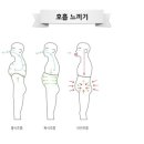 단전호흡 이미지