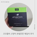 먼치킨 집사가 직접 써본 코코몰리 고양이 관절튼튼 데일리, 솔직 사용 후기!