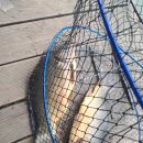 대명낚시터 이미지