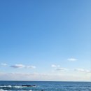 주문진해물국수