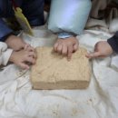 솔숲어린이집 이미지