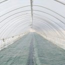 (주)썬그린 이미지