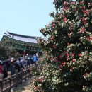 서천-19 이미지