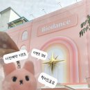 럭키빌딩 | 성수 바이오던스 팝업스토어 10월 팝업 사전예약 기프트 럭키 드로우 이벤트 후기