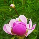 은평-021 이미지