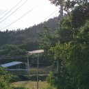 향림동산(흑염소농장) 네이버블로그