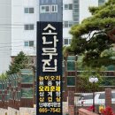 소나무집 이미지