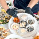 털보애견 이미지