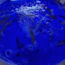 신사대화로 이미지