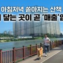 루틴펫살롱 이미지