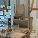 유 필라테스 이미지