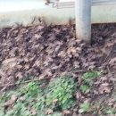 월학농장 이미지