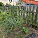 펀한노리터 이미지