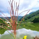 논개한우직영판매장 이미지