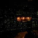 반딧불이 이미지