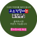 처인성로 이미지