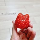 도미노피자상인점 이미지