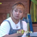 써클포레스트