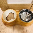 멍뭉이 밥상 이미지