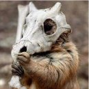 바른헬스 이미지