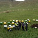 알프스 태양광발전소 이미지