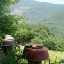 하얀농장 이미지