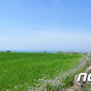 (주)청보리 이미지