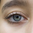 대전하나안과의원 이미지