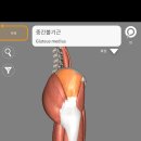 바디앤짐 신월점 이미지