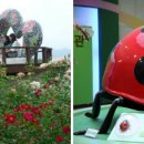 대안사 경내 이미지