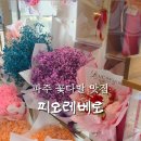 피오레베로