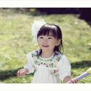 나무별 - 496739 | 나무별
