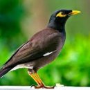 수내2동행정복지센터.파크타운서안 이미지