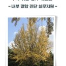 태산조경건설 이미지