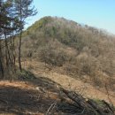 신흥푸른축산 이미지