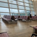 미야자키 | 아시아나 항공 미야자키 후기, '이것' 몰랐다가 후회했습니다