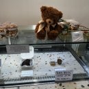 소태역3번출구 뒤편 | 인천 <팔레트디저트> 웨이팅 꿀팁, 두바이 쫀득쿠키 수건케이크 내돈내산 후기