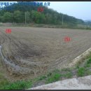 영주시이산면보건지소 이미지