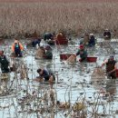 김억추 신도비와 현무묘 이미지