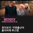 애니사