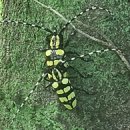 용연축산 이미지