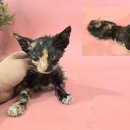 흥해시장 공중화장실 이미지