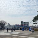 삼섬공원 | 260314 수원월드컵경기장 수원삼성블루윙즈 홈경기 직관 승요 성공