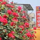 영천반점 이미지