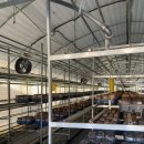 은하제일농장 이미지