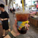 순천만 ECO 빌리지 다동 | 국내 한 바퀴 여행 6일차, 대구에서 순천 가기