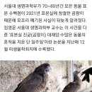 80년 모은 '보물' 곰팡이에 전멸…서울대 연구실 대참사 전말 이미지