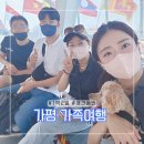 국내 가족여행 가평 애견동반여행지 여름휴가추천 가평 애견동반가능한곳 남이섬