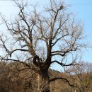 각산리 마을회관 이미지