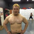 베어종합격투기